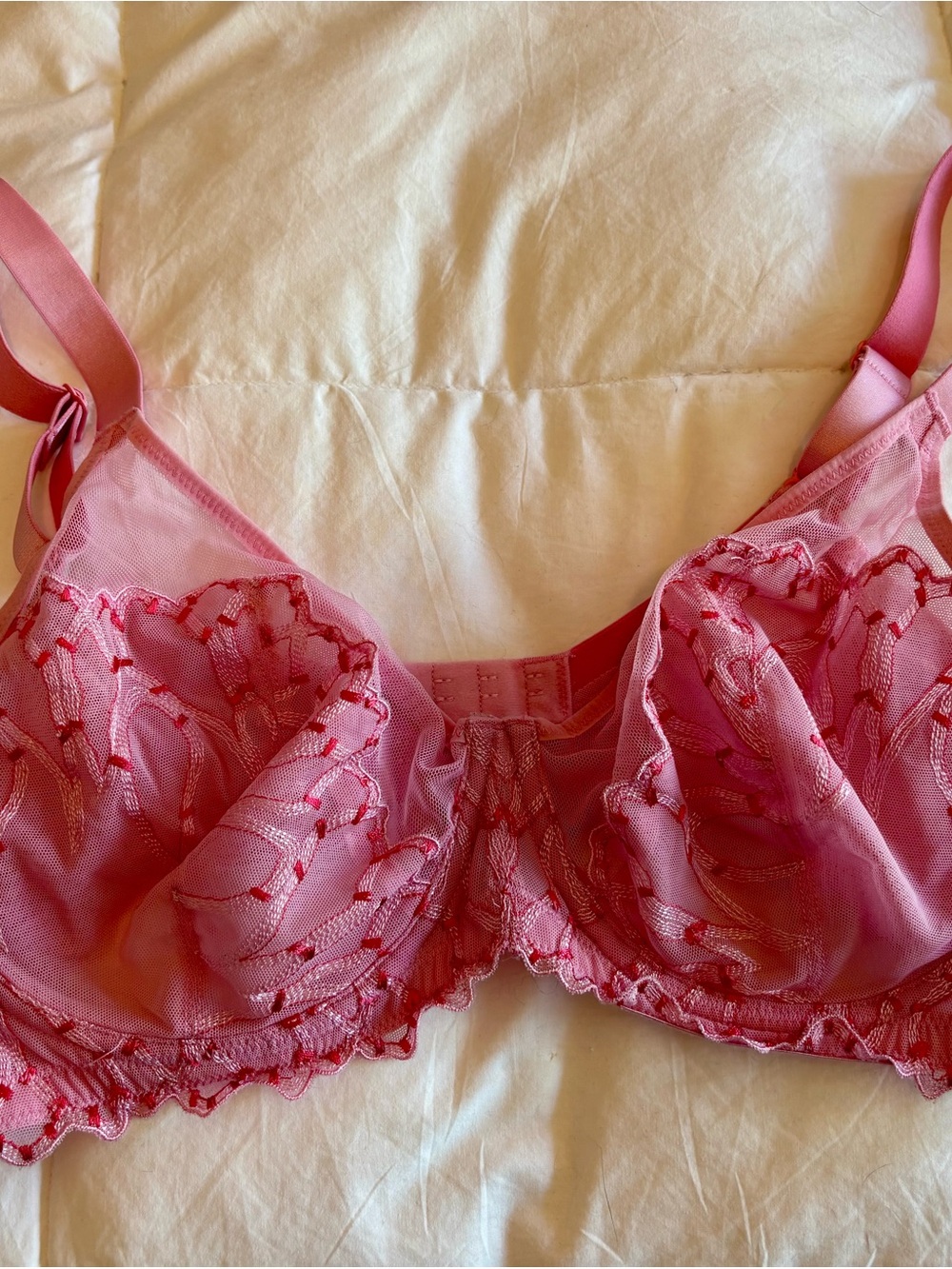HSIA Embroidered Sheer Underwire Bra in Pink